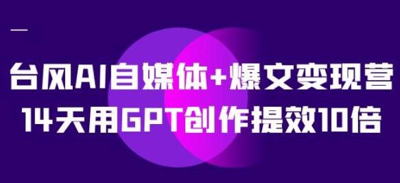 台风AI自媒体+爆文变现营 14天用GPT创作提效10倍(12节课)
